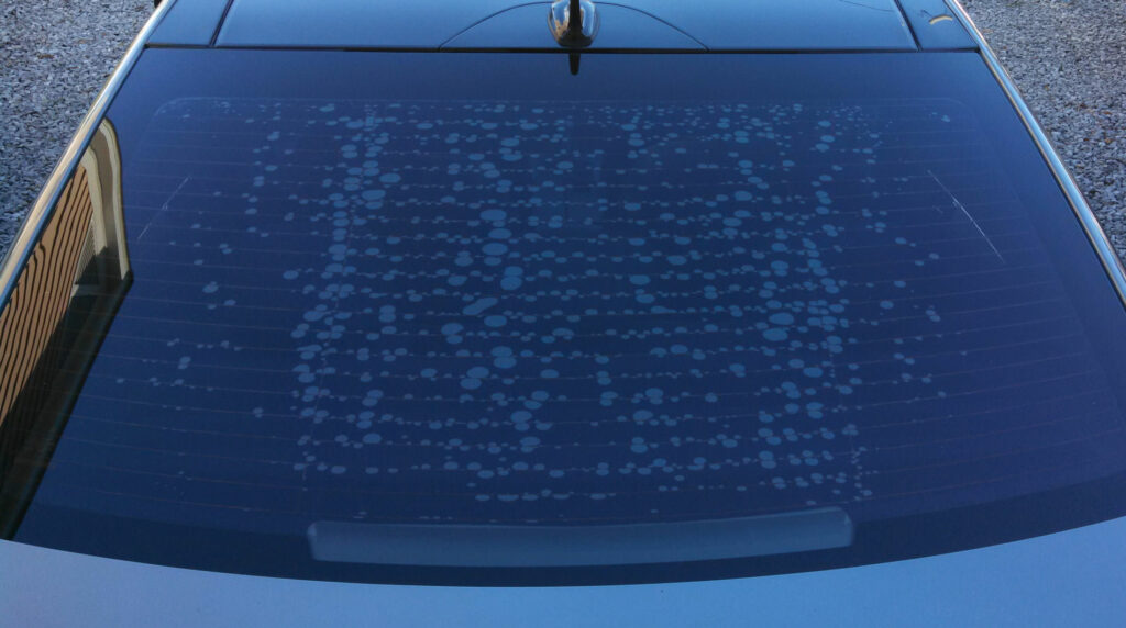 window tint bubbles